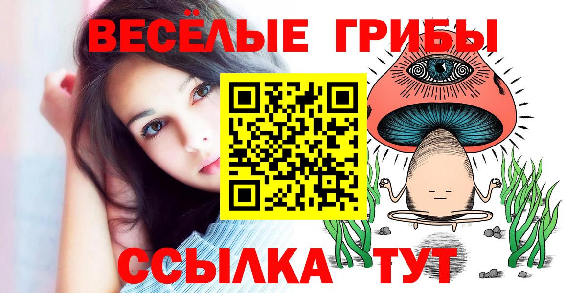 ГАШ Красногорск
